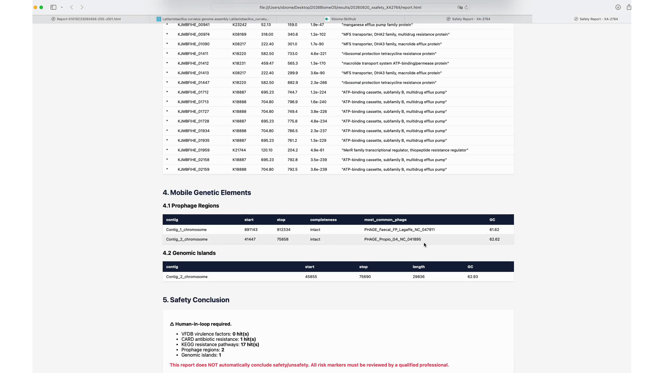 图 14 xSAFETY HTML 报告：风险标记概览与明细表。